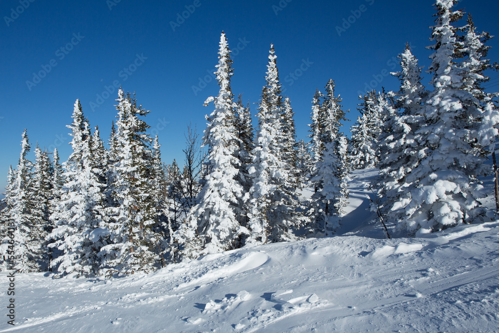 Sheregesh Kemerovo region ski resort in winter dawn sun on city, landscape on mountain and hotels, aerial top view.