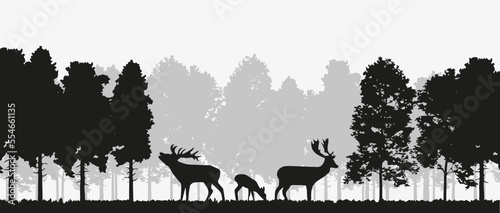 Deer silhouette in forest. Derr silhouette with spruce trees