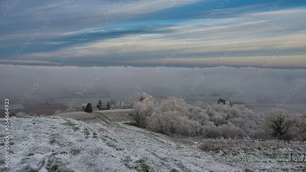 Winter auf dem Schutterlindenberg in Lahr im Schwarzwald Winter auf dem Schutterlindenberg in Lahr im Schwarzwald