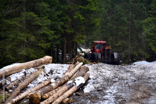 Wycinka drzew w Tatrach  Park Narodowy  las  TPN  