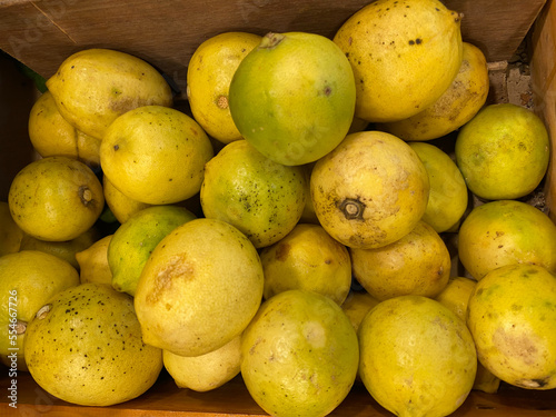 various kind of citrus, lime, and keffir lime on the market