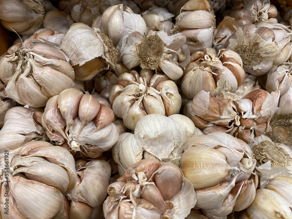 Fresh Garlic Cloves and Bulb. garlic for cooking ingredients perfect for italian food and asian food. healthy for diet.