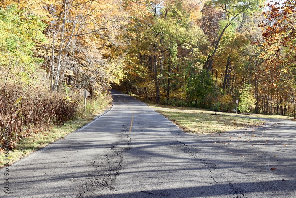 Obraz premium The empty street in the country on a sunny fall day.