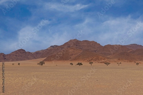 Desert landscape with acacia trees and mountains  NamibRand Nature Reserve  Namib  Namibia  Africa
