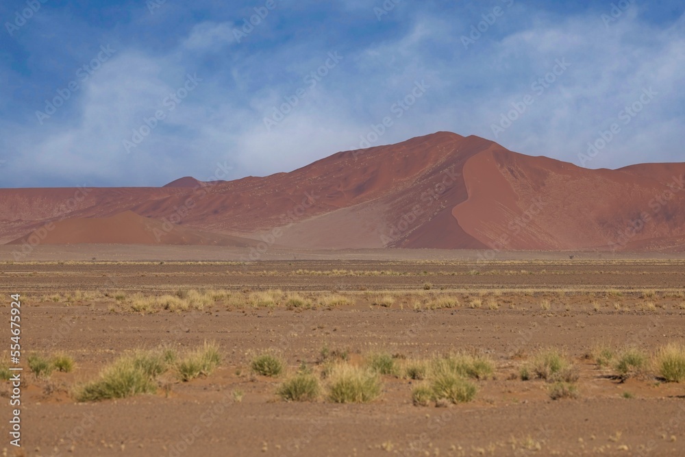 Desert landscape with acacia trees and mountains, NamibRand Nature Reserve, Namib, Namibia, Africa