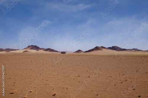 Desert landscape with acacia trees and mountains  NamibRand Nature Reserve  Namib  Namibia  Africa