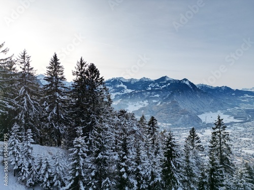 snow covered trees in mountains © Auslander86