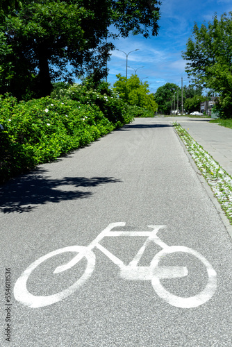 bicycle lane sign applied with white paint on asphalt vertical