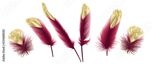 Set Modern abstract art Feathers Viva Magenta color with Golden. Vector illustration.