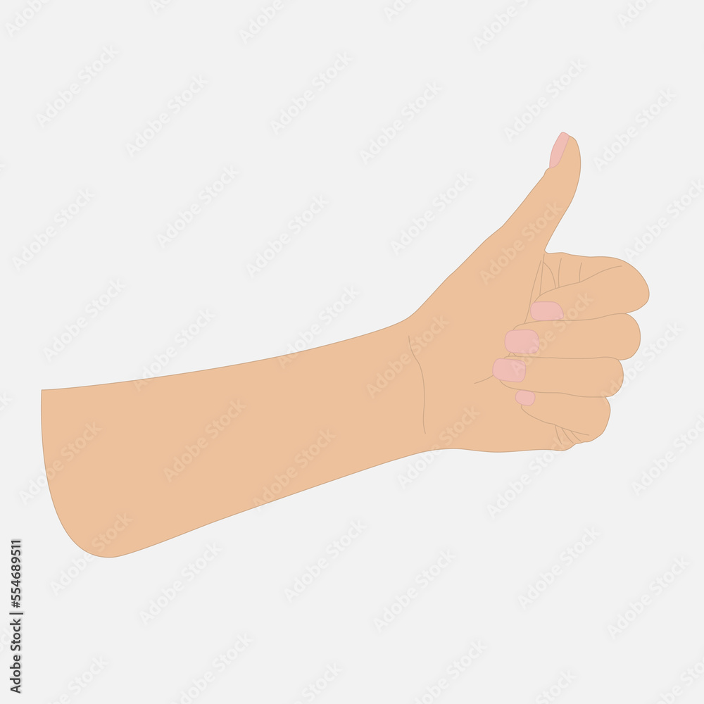 Woman's hand shows thumbs up, isolate Woman's hand shows thumbs up, isolate