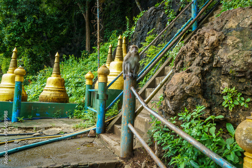 thai buddhist temple