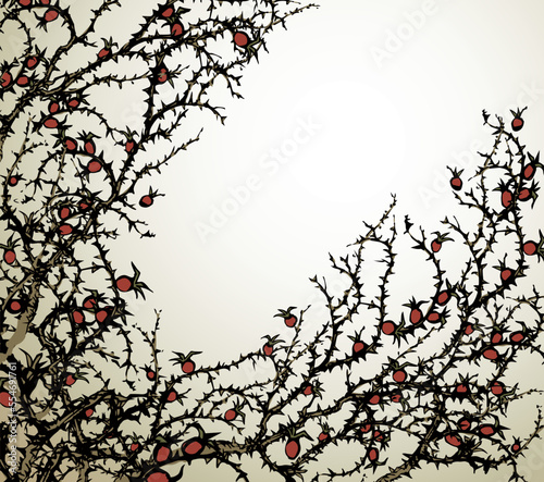 Branch of Blackthorn. Vector drawing