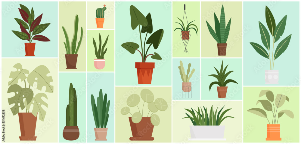 House plants in pots set vector illustration. Cartoon different houseplants for home garden and interior decoration, hanging potted tropical plants in geometric collage background House plants in pots set vector illustration. Cartoon different houseplants for home garden and interior decoration, hanging potted tropical plants in geometric collage background