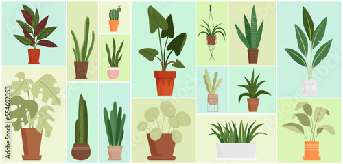 House plants in pots set vector illustration. Cartoon different houseplants for home garden and interior decoration, hanging potted tropical plants in geometric collage background