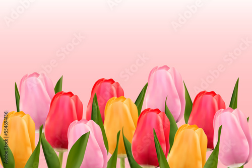 Multicolored tulips on a light pink background with copy space. Vector image
