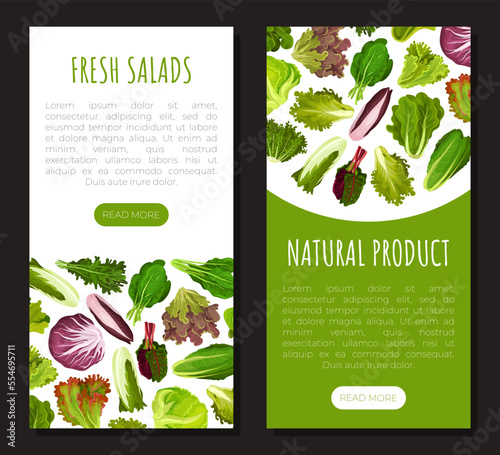 Fresh Salad Leaves Design with Green Vegetables Vector Template