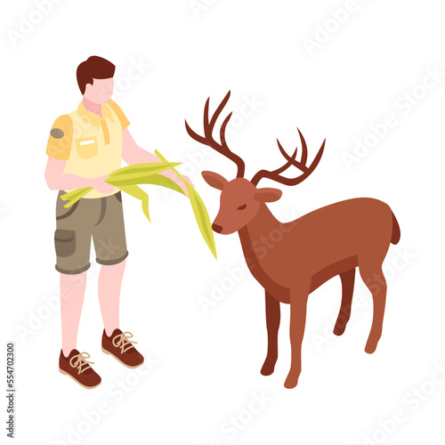 Feeding Zoo Deer Composition