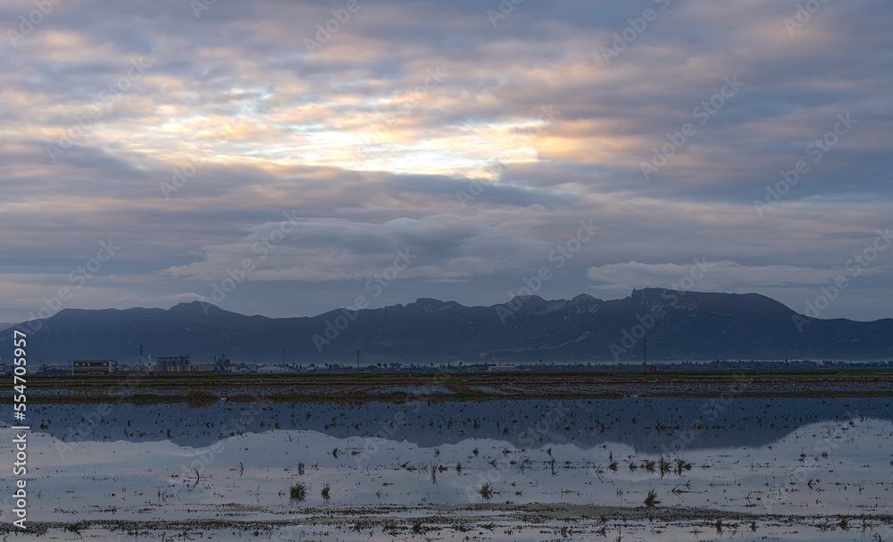 Sunrise in the rice fields in the Valencian Albufera