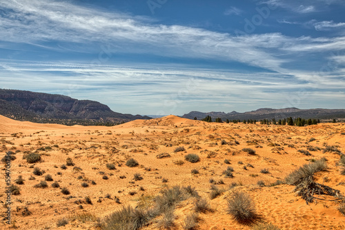 Pink Coral Sand Dunes-Utah