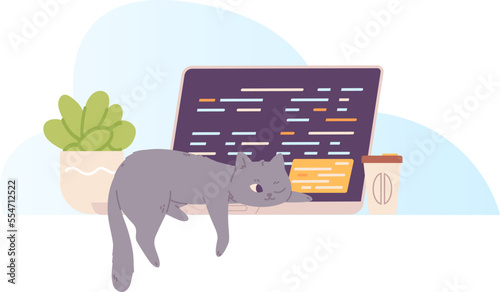 Cat sleep on laptop. Asleep kitten resting notebook keyboard, kitty lay sleeping at workspace screen computer, funny naps animal programmer, happy office work vector illustration