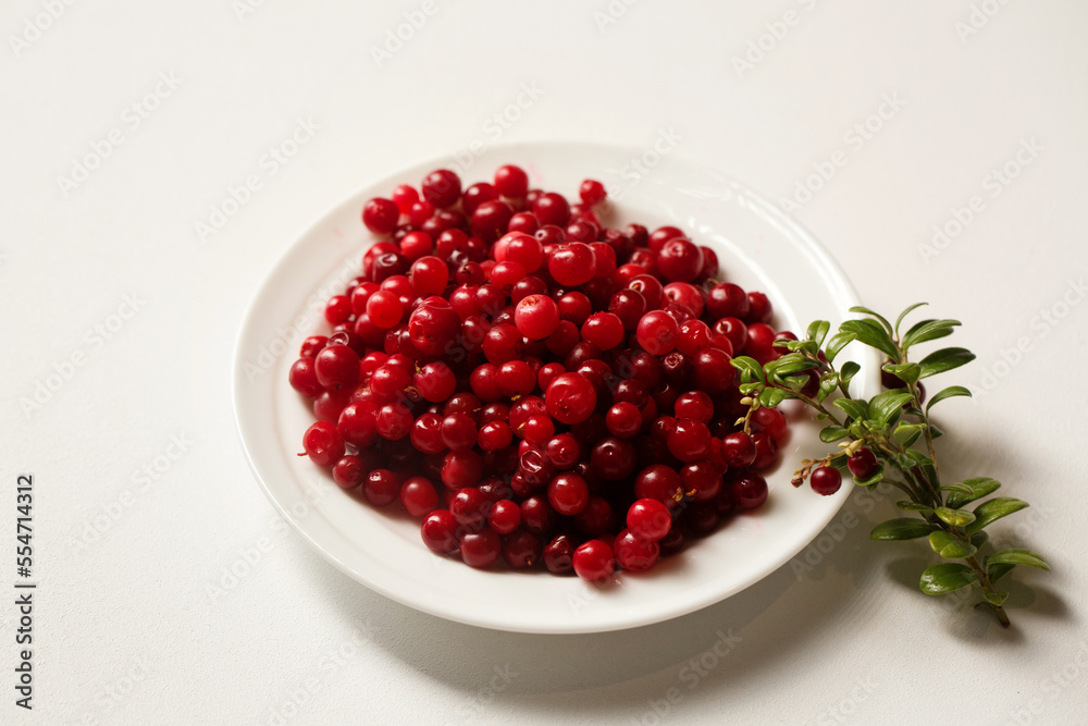 lingonberries in a white plate on a white background lingonberries in a white plate on a white background
