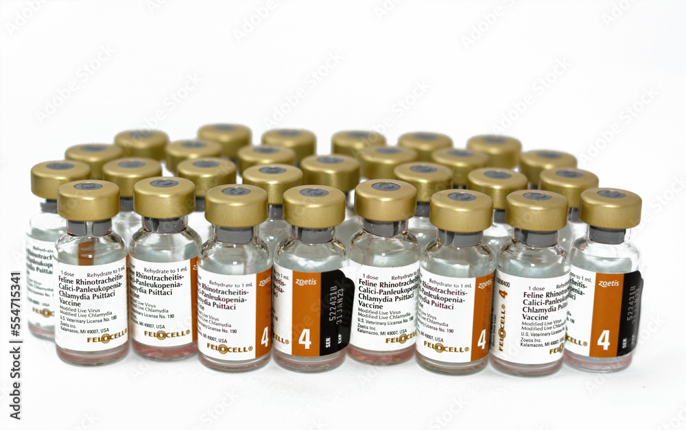 Cairo, Egypt, December 17 2022: Felocell 4, modified live attenuated