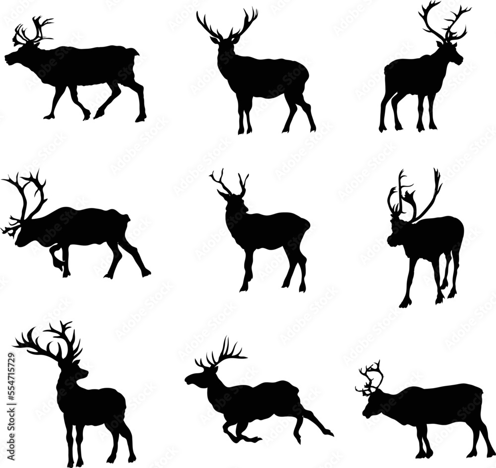 Fototapeta premium A collection of vector Reindeers for artwork compositions