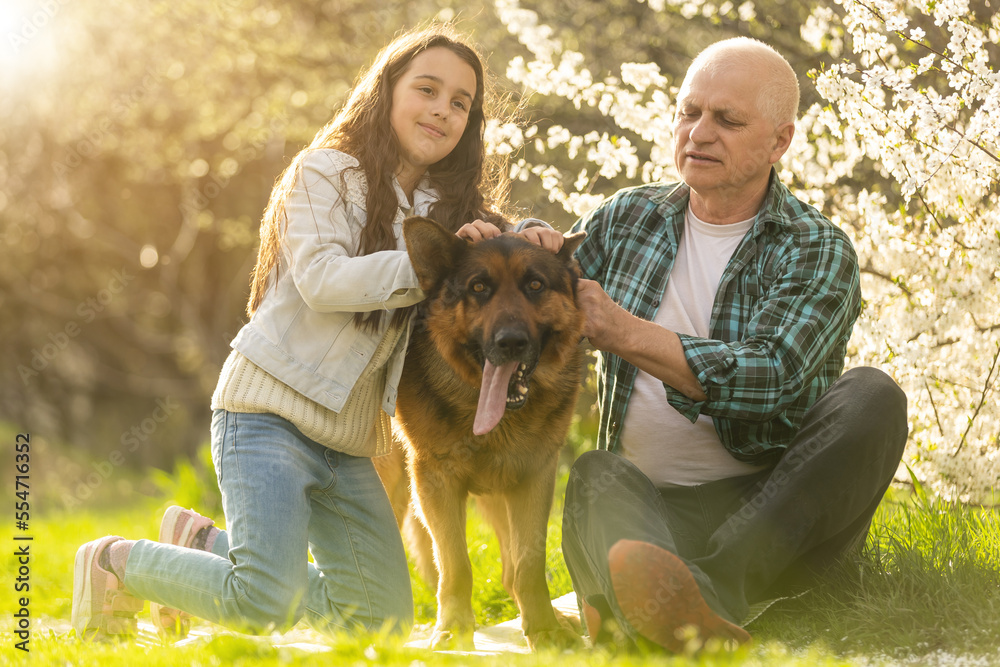 Fototapeta premium Smiling child hugging her happy grandfather - outdoor in nature.