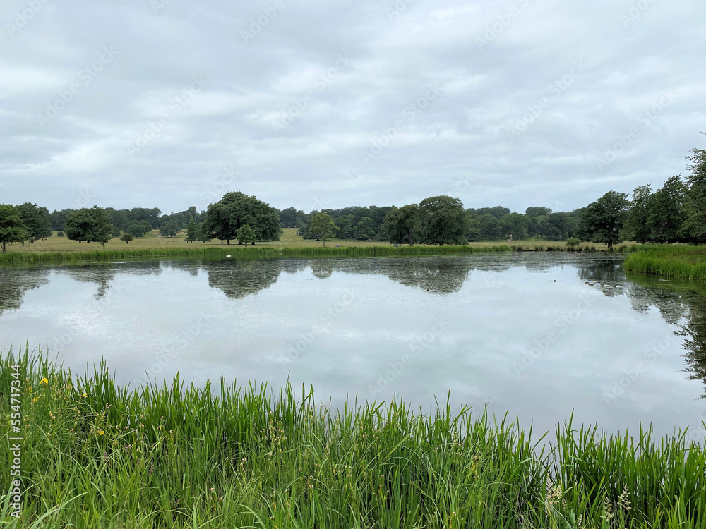 A view of the Cheshire Countryside near Knutsford