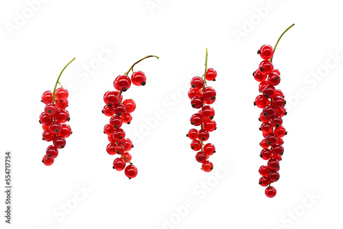 Summer set. Four sprigs of ripe juicy currant isolated on a white background. photo