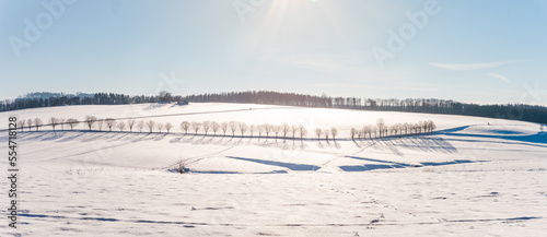 winter landscape with snow, sun and blue sky