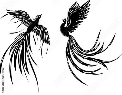 phoenix bird silhouette design vector isolated