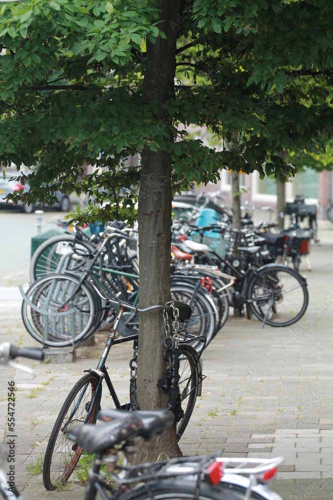 bikes in street Amsterdam