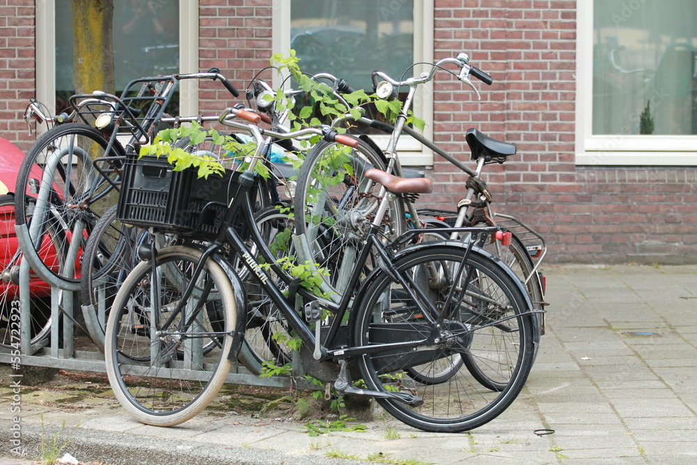 bikes in street Amsterdam