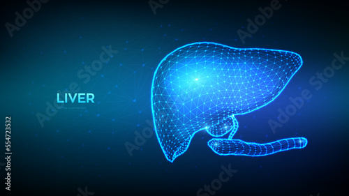 Liver. Human liver with gallbladder and pancreas. Cirrhosis and hepatitis treatment, donation, diagnostics concept. Abstract Low polygonal organ for medical drugs, pharmacy. Vector illustration.