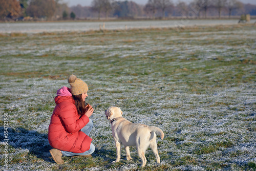 Young yellow labrador retriever standing besides his mistress wearing a red coat in winter outdoors