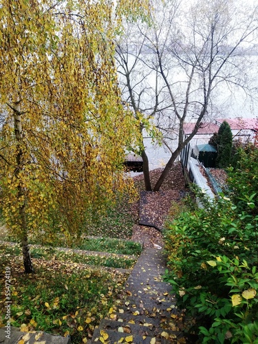 autumn in the park
