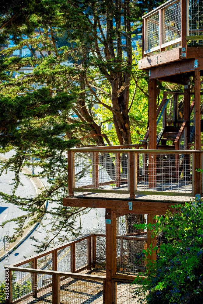 Row of balconies in park overlooking trees and winding road background in a natural part of the city or in the woods Row of balconies in park overlooking trees and winding road background in a natural part of the city or in the woods