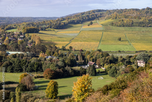 Elevated view of Dorking’s Surrey Hills vineyard pictured from Box Hill photo