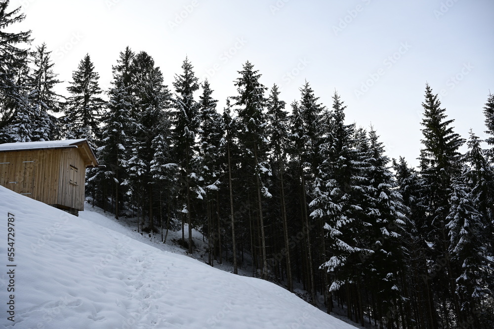 winter in the mountains winter in the mountains