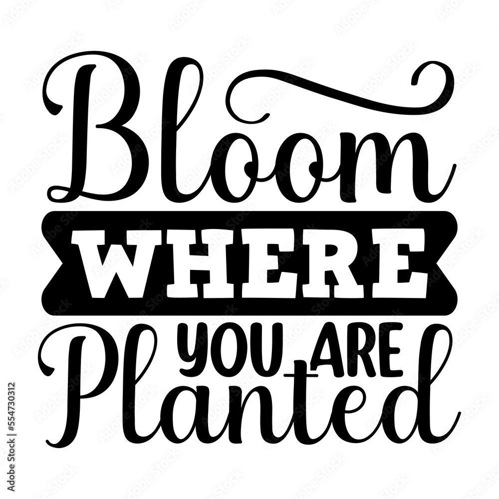Obraz premium Bloom Where You Are Planted