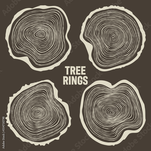 Round tree trunk cuts, sawn pine or oak slices, lumber. Saw cut timber, wood. Brown wooden texture with tree rings. Hand drawn sketch. Vector illustration
