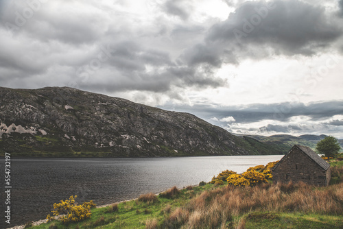Along Loch Shin - Scotland - Landscape Photography