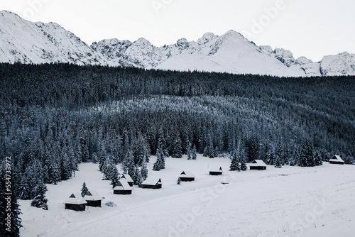 Obraz na płótnie Tatry w salonie