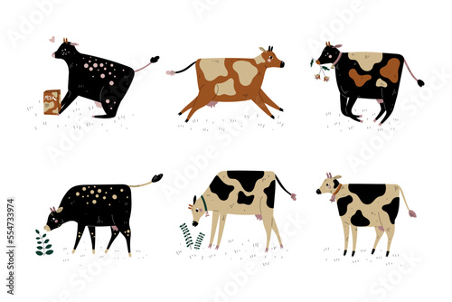 Milk Cow with Udder and Bell Grazing on Pasture as Dairy Cattle Breeding and Farming Vector Set