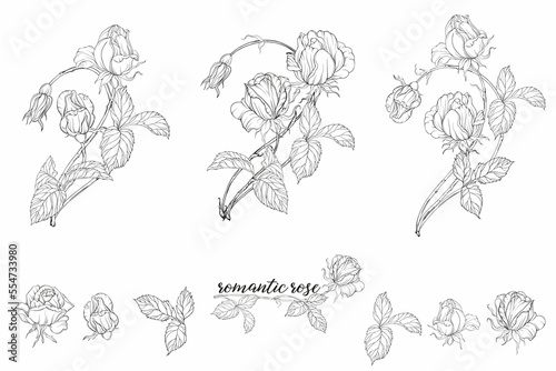 Graphic roses. Floral composition. Roses. Vector colors. 