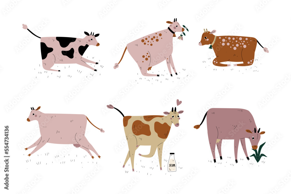 Milk Cow with Udder and Bell Grazing on Pasture as Dairy Cattle Breeding and Farming Vector Set