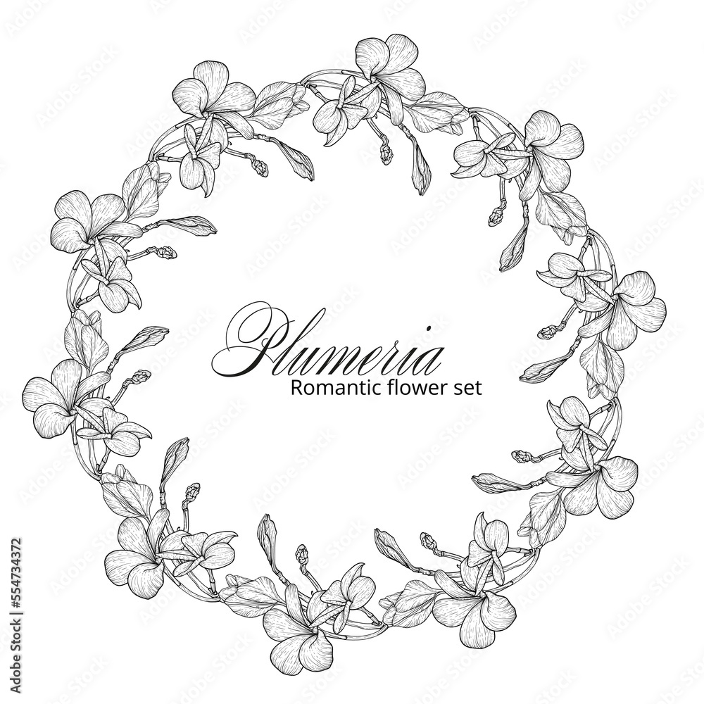 Black and white plumeria flowers. Plumeria. Flower wreath. Summer flowers. A romantic flower wreath.
