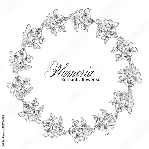 Black and white plumeria flowers. Plumeria. Flower wreath. Summer flowers. A romantic flower wreath.