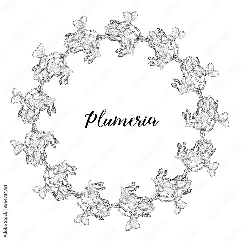 Fototapeta premium Graphic plumeria. Floral composition. Plumeria. Vector flowers. 